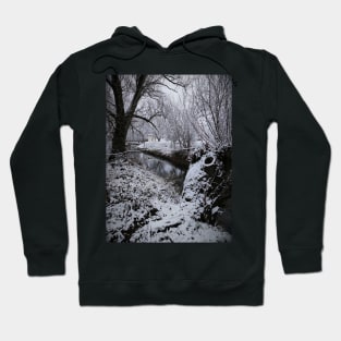 winter by the river Hoodie